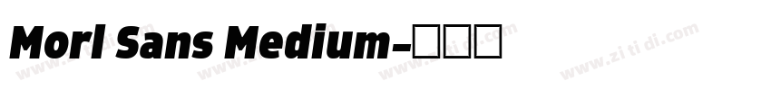 Morl Sans Medium字体转换